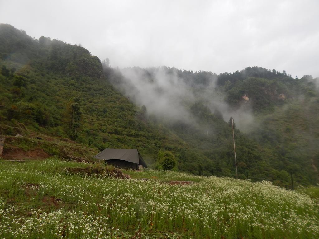 Dhanaulti Camp Homes Retreat Ngoại thất bức ảnh