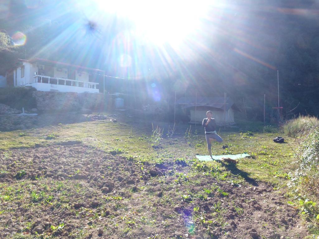 Dhanaulti Camp Homes Retreat Ngoại thất bức ảnh