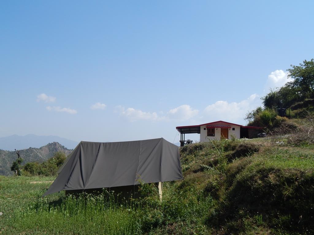 Dhanaulti Camp Homes Retreat Ngoại thất bức ảnh